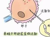 多次做试管婴儿对女性身体健康的伤害有多大？