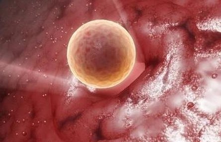 国内科大附一院顺利阻断稀有病原基性侏儒综合征遗传基因“三代试管”助孕健康宝贝