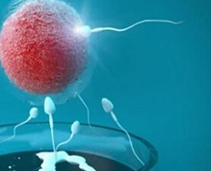 香港正规验血机构有哪些？如何选择正规的验血机构